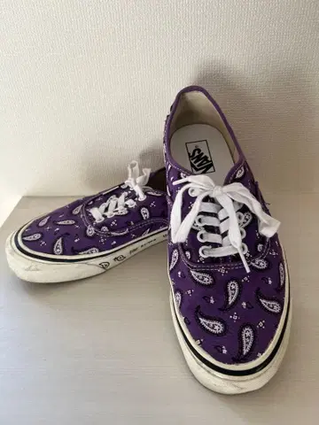 VANS 오센틱 페이즐리 무늬