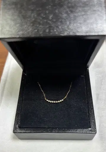 SIENA ROSE 골드 목걸이