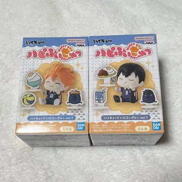 하이큐 히나타 쇼요 카게야마 토비오 하피피규