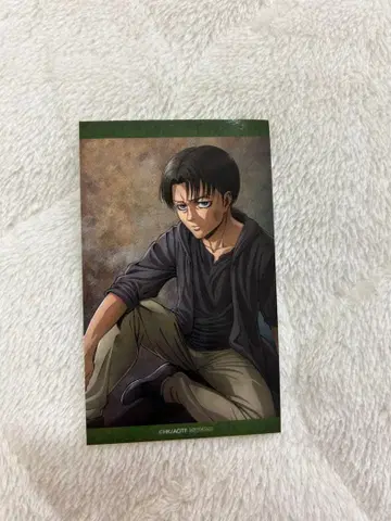 진격의 거인 기억으로의 진격 전시회 리바이 엽서