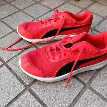 푸마 레드 스니커즈 25.5cm