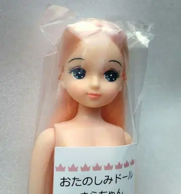 리카짱 캐슬 오타노시미 인형 키라짱 새상품