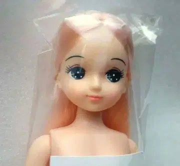 리카짱 캐슬 오타노시미 인형 키라짱 새상품