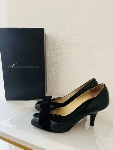 GIUSEPPE ZANOTTI/주세페 자노티 펌프스