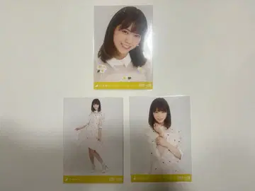 노기자카46 니시노 나나세 생사진 컴프 세트 하루지온이 피는 무렵