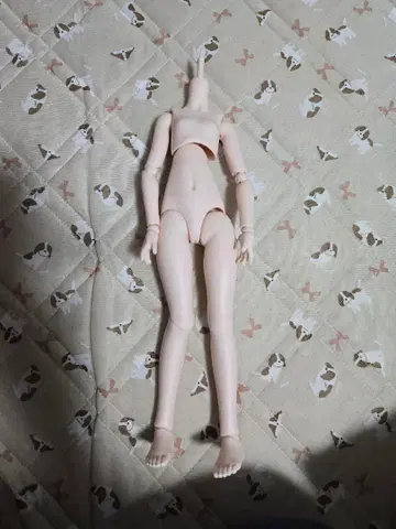 MDD 세미 화이트 바디