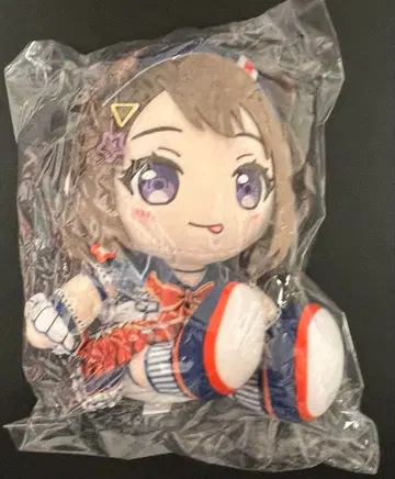 정품 미개봉 새상품 뱅드림 BanGDream! 봉제 인형 토야마 카스미