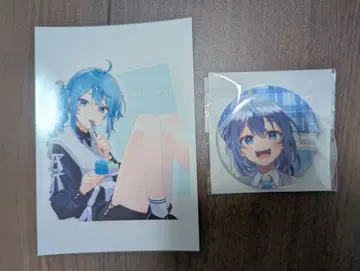 컬러풀 피치 루나 씨