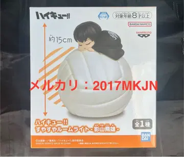 [하이큐] 스야스야 룸 라이트 - 카게야마 토비오 -