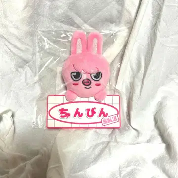 창빈 돼끼 네임 백참 DWAEKKI