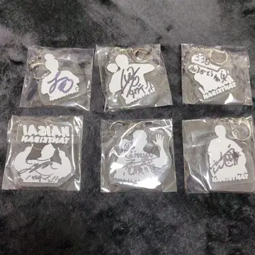 HAISAI TANTEIDAN 아크릴 키링 6개 세트