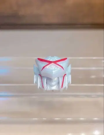 DX 테가쥬운 반지 단품