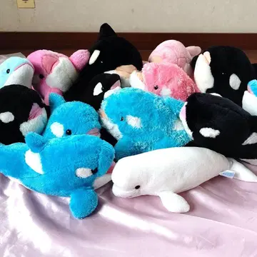 돌고래 봉제 인형 세트 판매