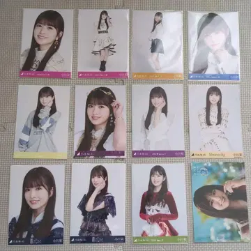 노기자카46 오가와 아야 브로마이드 모음 12장