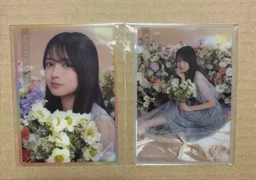 세토구치 신게츠 모바카세트