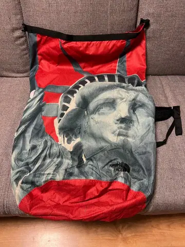 THE NORTH FACE 자유의 여신 백팩