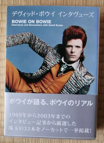 데이비드 보위 인터뷰집 BOWIE ON BOWIE