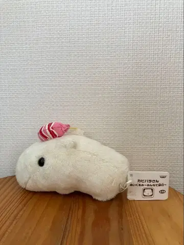 봉제 인형 카피바라