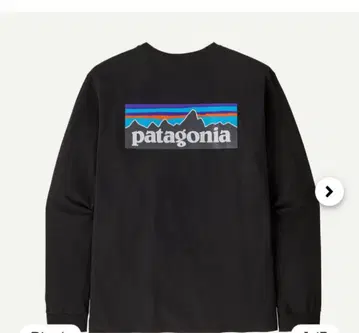 남성용 롱 슬리브 P-6 로고 레스폰서빌리티 patagonia
