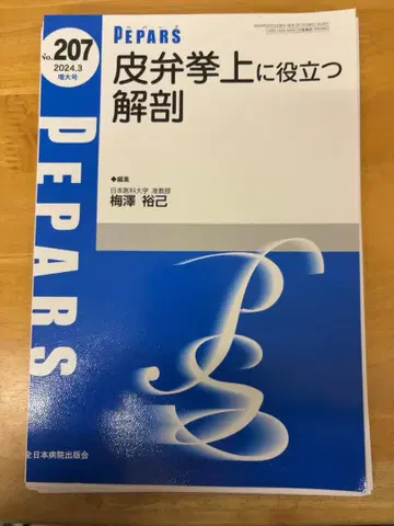 PEPARS207 피부 판막 거상에 도움이 되는 해부학