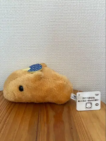 봉제 인형 카피바라