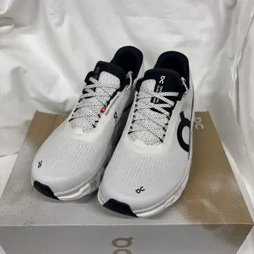 On 클라우드몬스터2 White/Frost 26.5cm