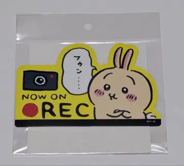 치이카와 (먼작귀) 카사인 드라이브 레코더 NOW ON REC 토끼