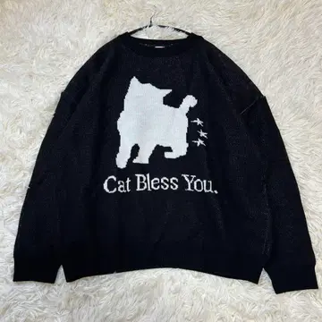 ITZAVIBE 고양이 니트 블랙 스키즈 리노 착용