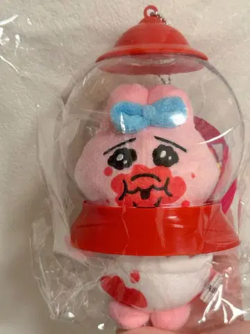 [ 한정품 ] 빤쮸토끼 봉제 인형