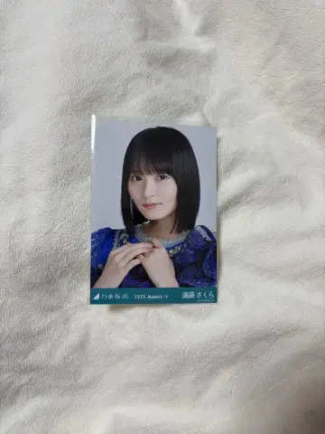 13thBD 라이브 의상 엔도 사쿠라