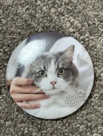 사토미 군 캔뱃지 원맨 실사 고양이 야마토