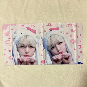 enhypen 선우 슬로우건 마스터