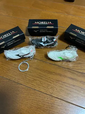 모렐리아 키링 3개 세트