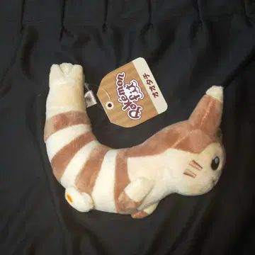 택 포함 새상품 포켓몬 핏 오오타치 봉제 인형