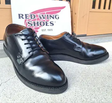 레드윙 101 포스트맨 10D