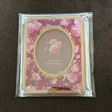 후쿠야 FUKUYA 아크릴 프레임 빈티지 로즈 레드