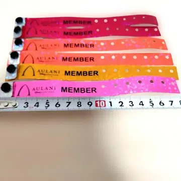 AULANI 디즈니 리조트 멤버 리스트 밴드 30개 세트