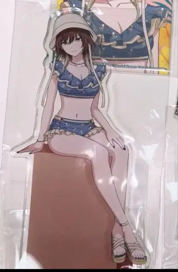 시즈 히다 미코토 제비뽑기당 아크릴 스탠드 샤니마스 SHHis