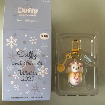 시크릿 오브 스노우데이 참 디즈니씨 쿠키 안