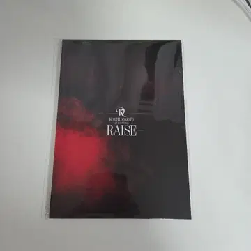 코이치 도모토 RAISE 팜플렛