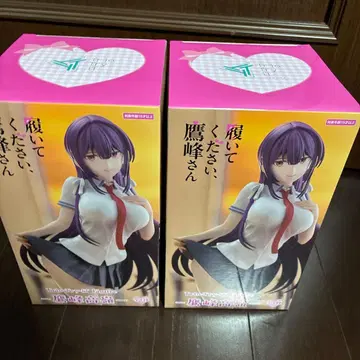 신어주세요 타카미네 씨 피규어 2체 세트