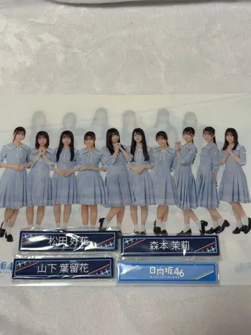 집합 클리어 파일 기타 히나타자카46 로손 제일복권