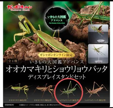 온라인판 생물대도감 어드밴스 쇼리료바타 그린 컬러형