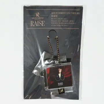 코이치 도모토 라이즈 키링