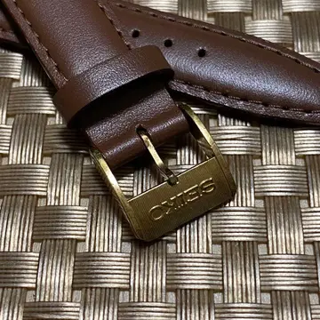 세이코 로고 골드 SGP 비죠와 세이코 새상품 벨트 세트 5