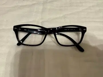 Ray-Ban 블랙 안경 웰링턴