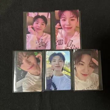 SEVENTEEN spill The feels 소비기한 회장 한정판 우지