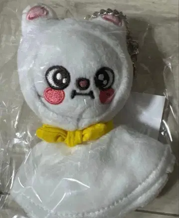 Stray Kids 테루테루보즈 SKZOO 지니레트 현진