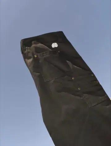 paradeal brain chino pant