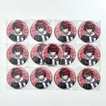 스미노 타쿠미 WonderGOO 캔뱃지 13개